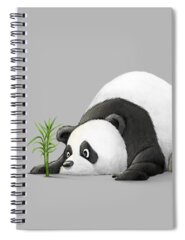 Panda Bear Spiral Notebooks