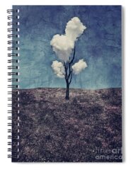 Landscape Spiral Notebooks