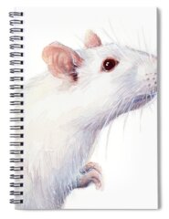 Rat Spiral Notebooks