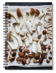 Maitake Mushroom Spiral Notebooks