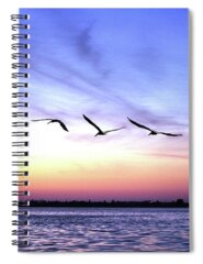 Pelican Island National Wildlife Refuge Spiral Notebooks