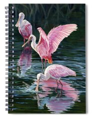 Florida Marsh Spiral Notebooks