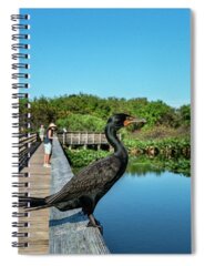 Wakodahatchee Wetlands Spiral Notebooks