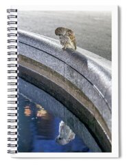 Urban Wildlife Spiral Notebooks