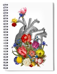 Anatomical Spiral Notebooks