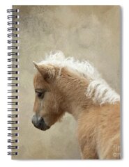 Shetland Pony Spiral Notebooks