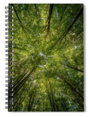 Vertical Perspective Spiral Notebooks