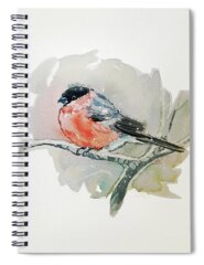 Passerine Birds Spiral Notebooks
