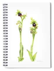 Spider Orchid Spiral Notebooks