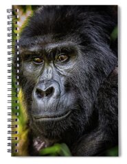 Bwindi Impenetrable National Park Spiral Notebooks