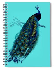 Indian Blue Peacock Spiral Notebooks