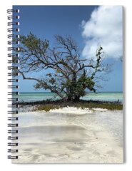 Beachy Spiral Notebooks