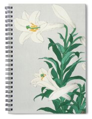 Spider Lily Spiral Notebooks