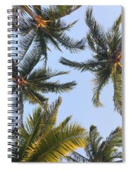 Miami Beach Spiral Notebooks