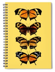 Monarch Spiral Notebooks