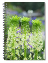 Pineapple Lily Spiral Notebooks