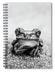 Tree-frog Spiral Notebooks
