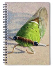 Cicada Spiral Notebooks