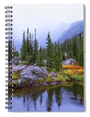 Pine Spiral Notebooks