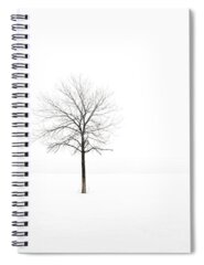 Snow Fields Trees Minimal Spiral Notebooks