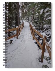 Forest Landscape Spiral Notebooks