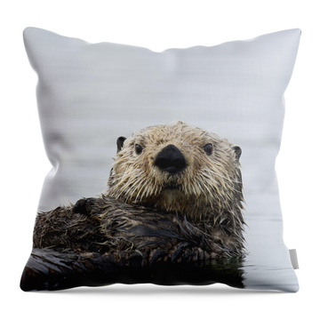 Smooth-coated Otter Throw Pillows