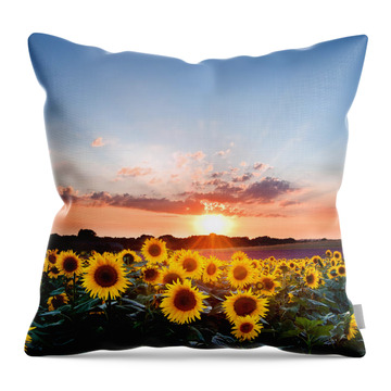 Sunflower Head Throw Pillows