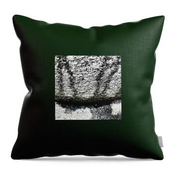 Abstract_buff Throw Pillows