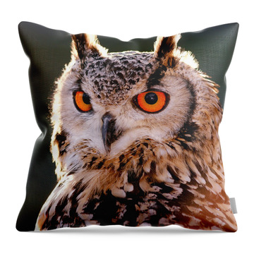 Eurasian Eagle-owl Throw Pillows