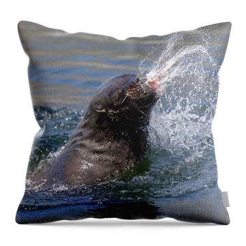 Cape Fur Seal Throw Pillows