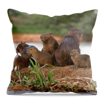 Pantanal Throw Pillows