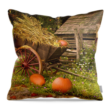 Essence Of Autumn By Doug Kreuger Throw Pillows