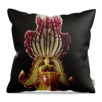 Fairrieanum Throw Pillows