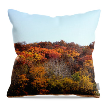 Fall Colors Of Iowa Series 2 Throw Pillow