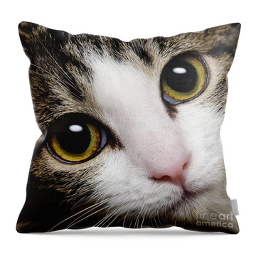 Andee Design Cat Throw Pillows
