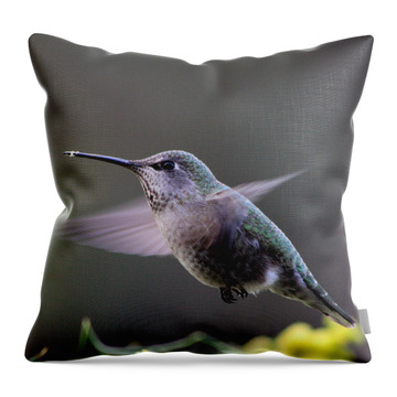 Anna's Hummingbird Throw Pillows