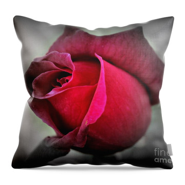 Just A Touch Of Colour Throw Pillows