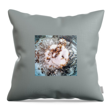 Snowball Throw Pillows