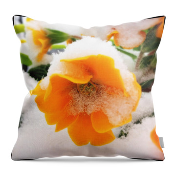 Designs Similar to Orange spring flower with snow