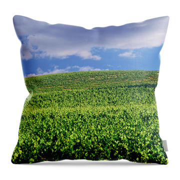 Wineries In Paso Robles Throw Pillows