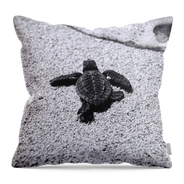 Turtle Beach Throw Pillows