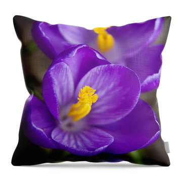Spring Crocus Throw Pillow