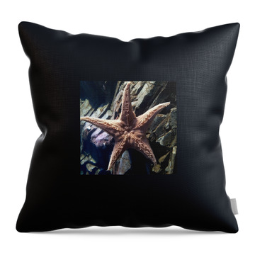 Star Fish Throw Pillows