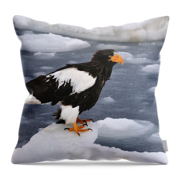 Steller's Sea Eagle Throw Pillows