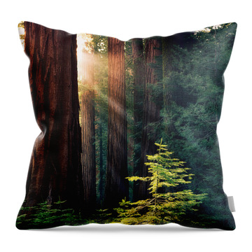 National and State Parks Throw Pillows