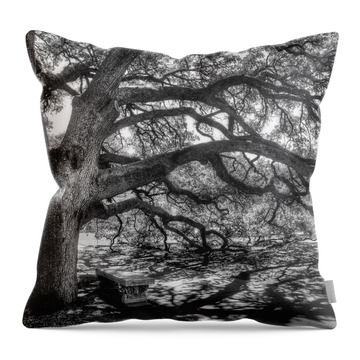 Oak Trees Throw Pillows