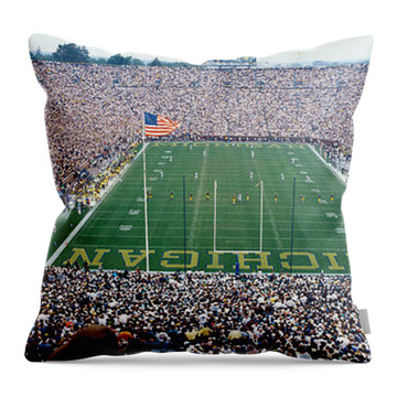 Panoramic Images Michigan Throw Pillows