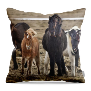 Icelandic Horse Throw Pillows