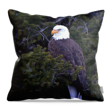 Eagle River Throw Pillows