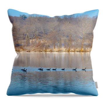 Geese In The Schuylkill River Throw Pillows